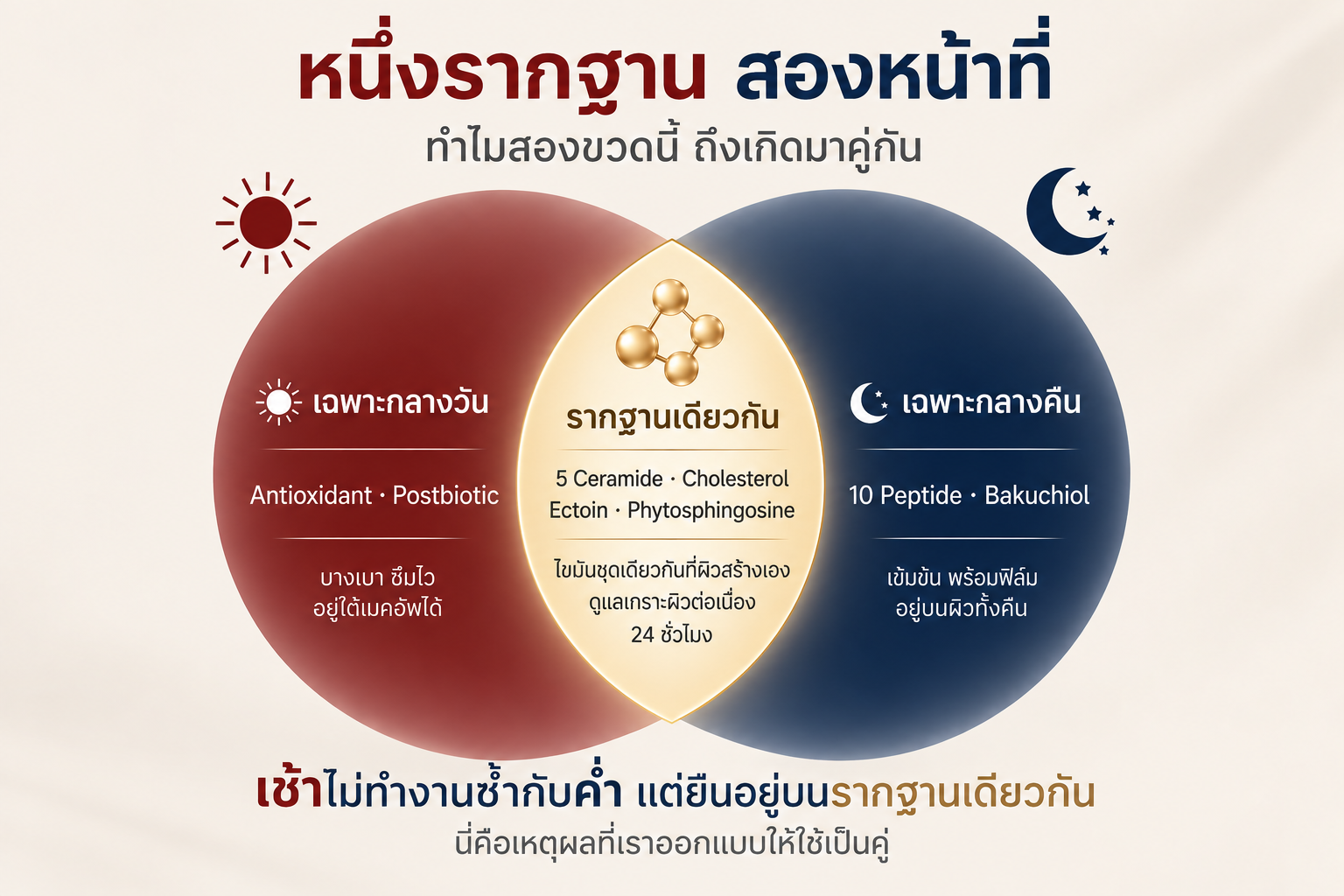 หนึ่งรากฐาน สองหน้าที่ — ทำไมสองขวดนี้ถึงเกิดมาคู่กัน
